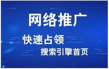 专业的关键词优化、网站推广公司